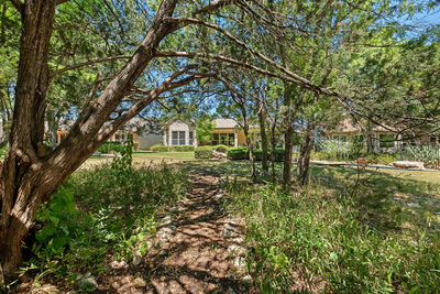 145 Stetson Trl — photo 4