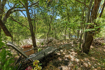 145 Stetson Trl — photo 5