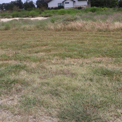 105 Huerta Rd — photo 3