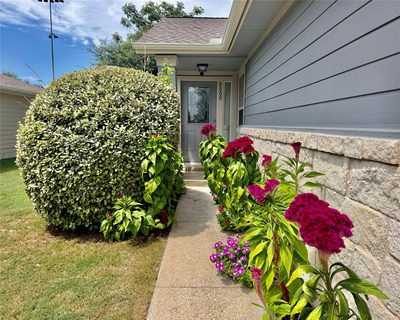 8800 White Ibis Dr #130 — photo 2