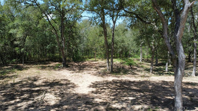 959 Carter Rd — photo 4