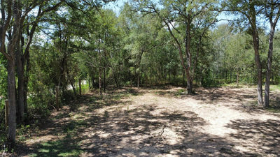 959 Carter Rd — photo 5