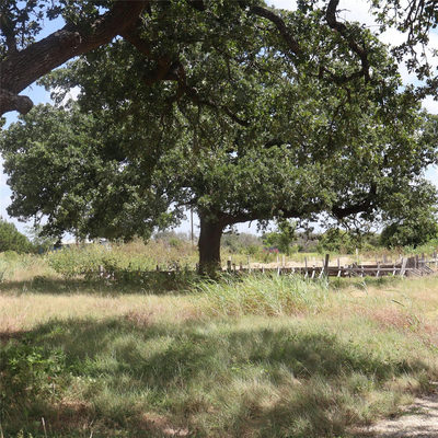 108 Mesones Rd — photo 5