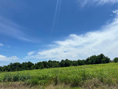 65.47 acres CR 327 Rd — photo 4