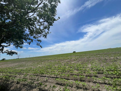 65.47 acres CR 327 Rd — photo 2