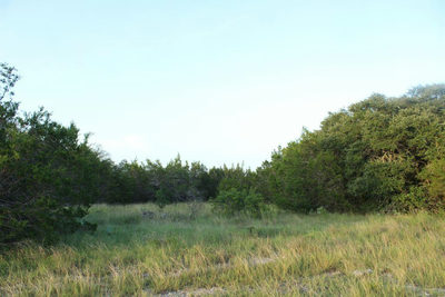 Lot-194 Whitewater Drive Dr — photo 5