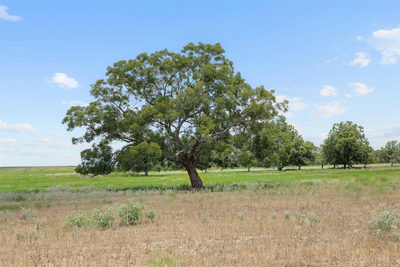 Tract 4 FM 3158 — photo 3