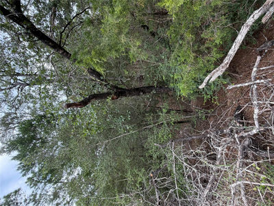 Lots 407 and 408 Molokini Dr — photo 5