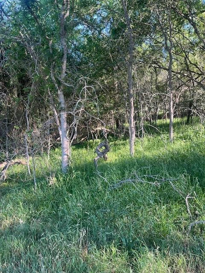 Lot 768 Kaukonahua Ln — photo 2
