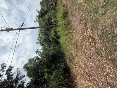 161 Kahana Ln — photo 2