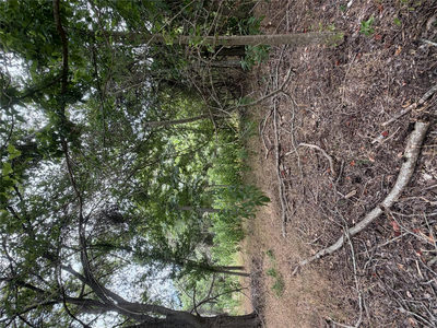 161 Kahana Ln — photo 5