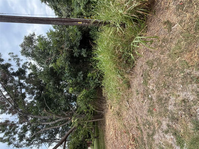 161 Kahana Ln — photo 3