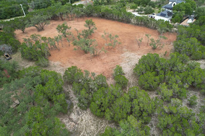 2409 Pace Bend Rd S — photo 2