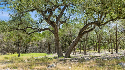 Tract 5 Cypress Cove Rd — photo 3