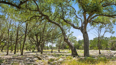 Tract 5 Cypress Cove Rd — photo 4