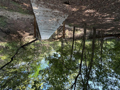 4000 River Rd — photo 4
