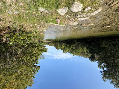 4000 River Rd — photo 3