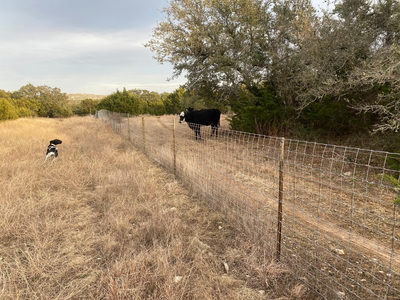 Lot 94 E. Dripping View Ct — photo 3