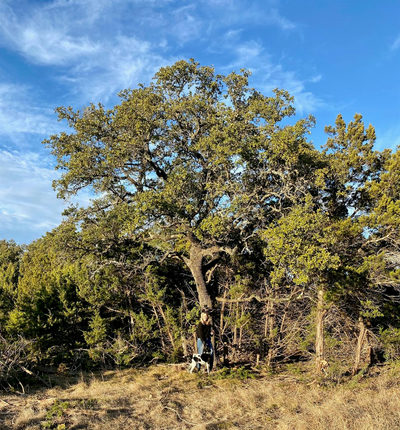 Lot 94 E. Dripping View Ct — photo 4