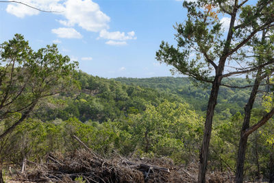 Tract 4 Mount Olive School Rd — photo 2