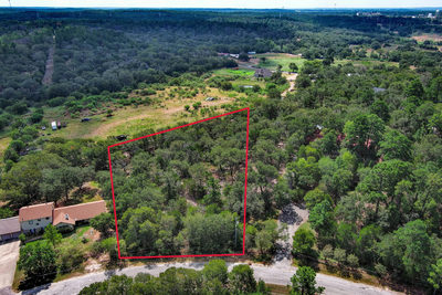 000 Piney Ridge Dr — photo 5