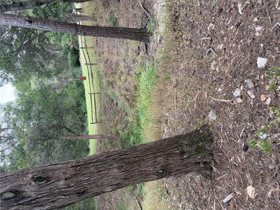 Lot 290 Aka Ct — photo 4