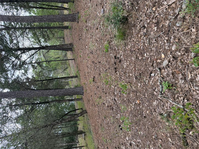 Lot 290 Aka Ct — photo 2