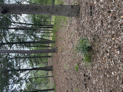Lot 290 Aka Ct — photo 3