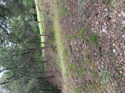 Lot 291 Aka Ct — photo 5