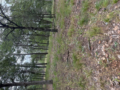 Lot 291 Aka Ct — photo 2