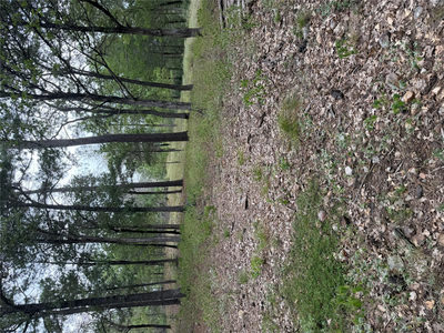 Lot 291 Aka Ct — photo 4