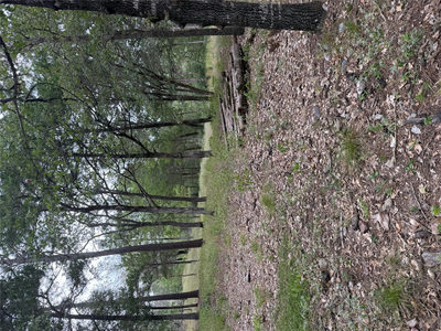 Lot 291 Aka Ct — photo 3