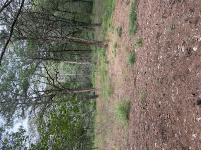Lot 292 Aka Ct — photo 4