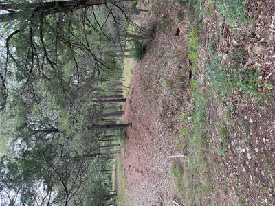 Lot 292 Aka Ct — photo 2