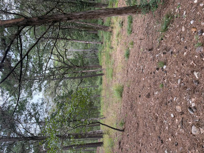 Lot 292 Aka Ct — photo 3