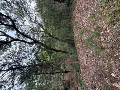 Lot 293 Aka Ct — photo 2