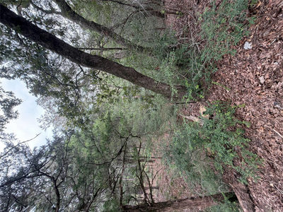 Lot 293 Aka Ct — photo 4