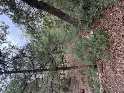 Lot 293 Aka Ct — photo 5