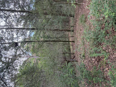 Lot 294 Aka Ct — photo 3