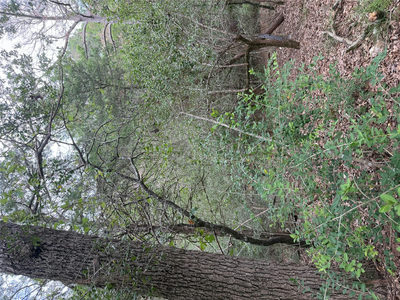 Lot 294 Aka Ct — photo 4