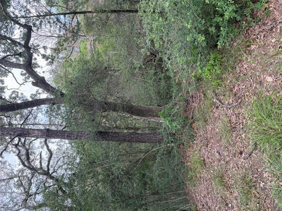 Lot 294 Aka Ct — photo 2
