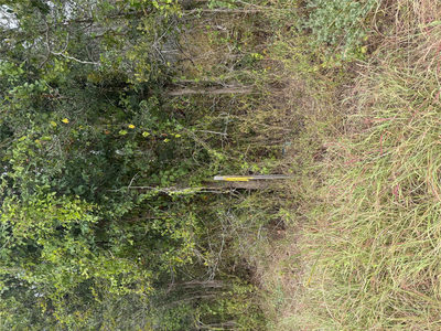 Lots 451, 452, 453 Heleakala Dr — photo 2