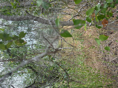 Lots 451, 452, 453 Heleakala Dr — photo 4
