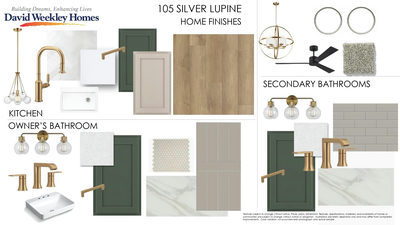 105 Silver Lupine Cv — photo 3