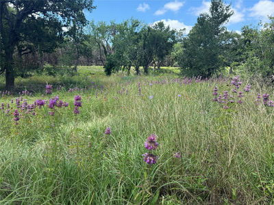 5150 CR 254 — photo 2