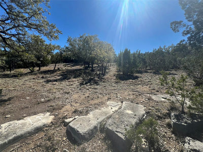 21503 Paine Ave — photo 4