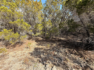 20206 Lee Ln — photo 4