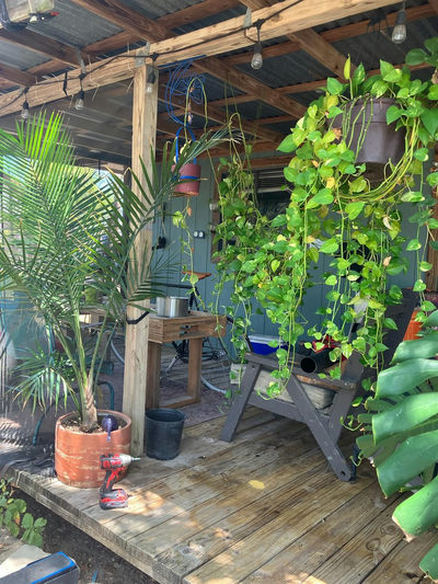 1903 Elysian Flds — photo 4