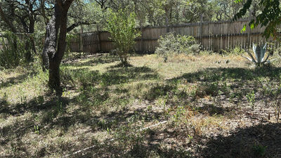 180 Donna Dr — photo 5