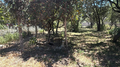180 Donna Dr — photo 3